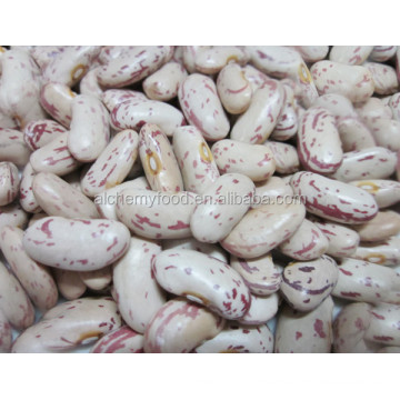 china dry LSKB light speckled kidney beans
